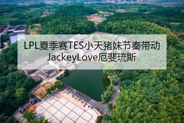 LPL夏季赛TES小天猪妹节奏带动JackeyLove厄斐琉斯